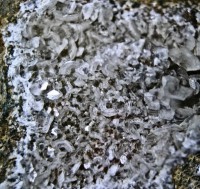 /album/galerie-photos/baigorry-zeolites-6319-mod1-jpg1/